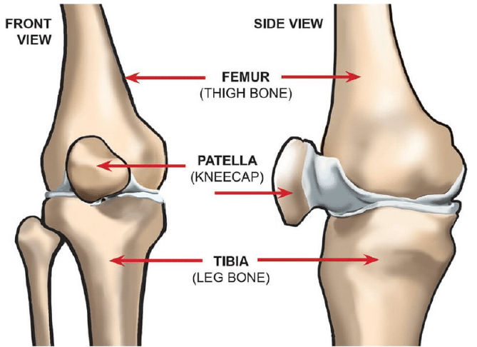 Graphic illustrating front and side view of a possible knee fracture